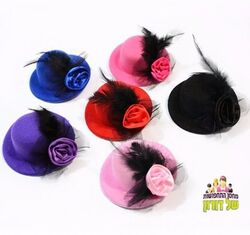 מגוון כובעוני קליפס