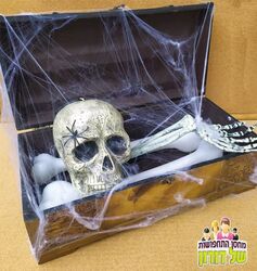 קורי עכביש לתפאורה