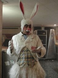 תלבושת הארנב הממהר